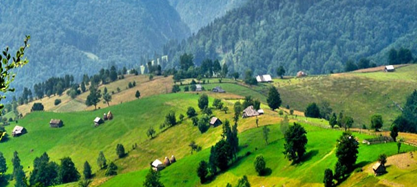Sportsman Gaseous attractive Satul Ciocanu, locul de poveste care păstrează autenticitatea satului românesc de odinioară - Cj Arges Sportsman Gaseous attractive Satul Ciocanu, locul de poveste care păstrează autenticitatea satului românesc de odinioară - Cj Arges