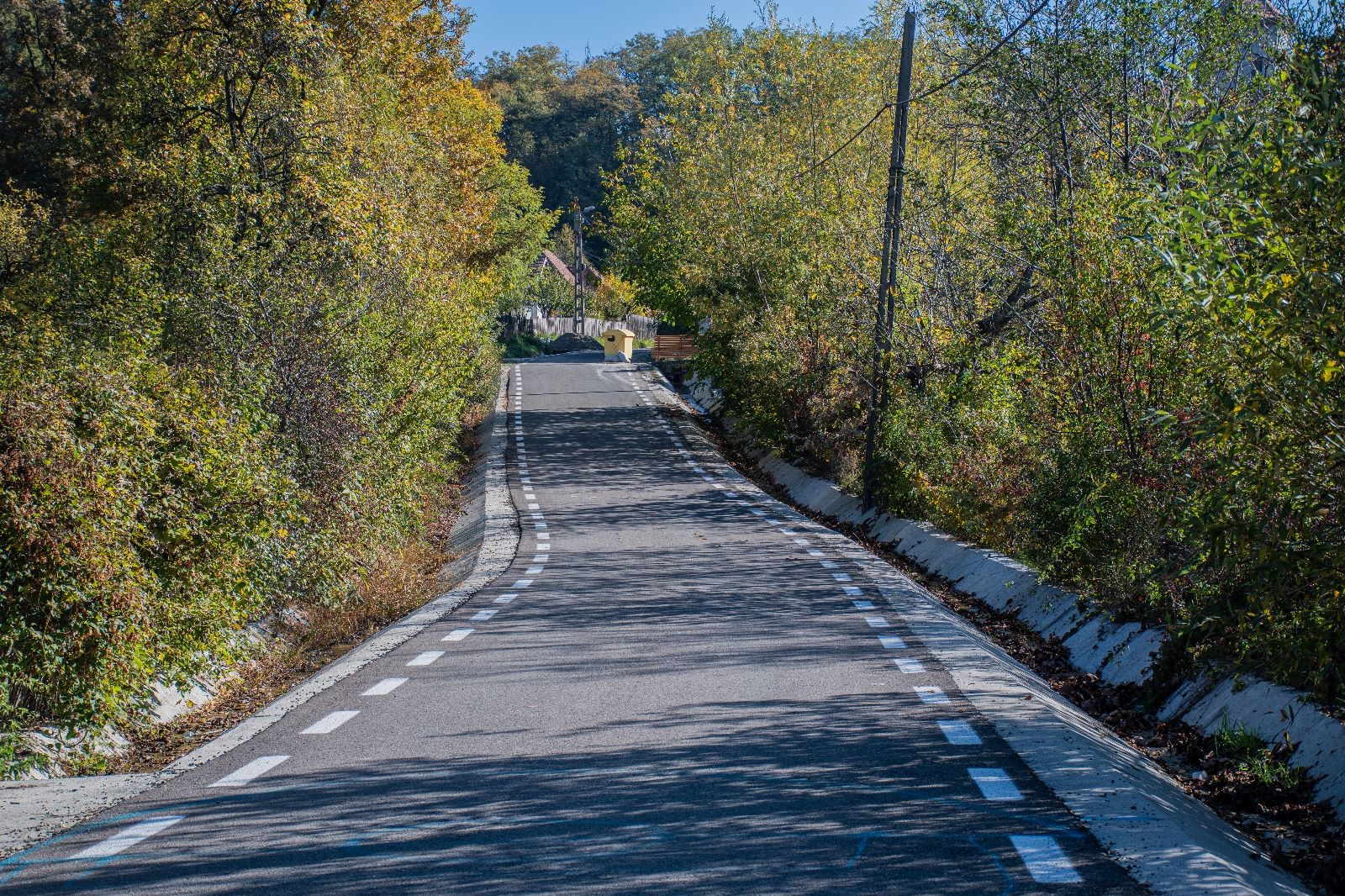 suici 7.jpg