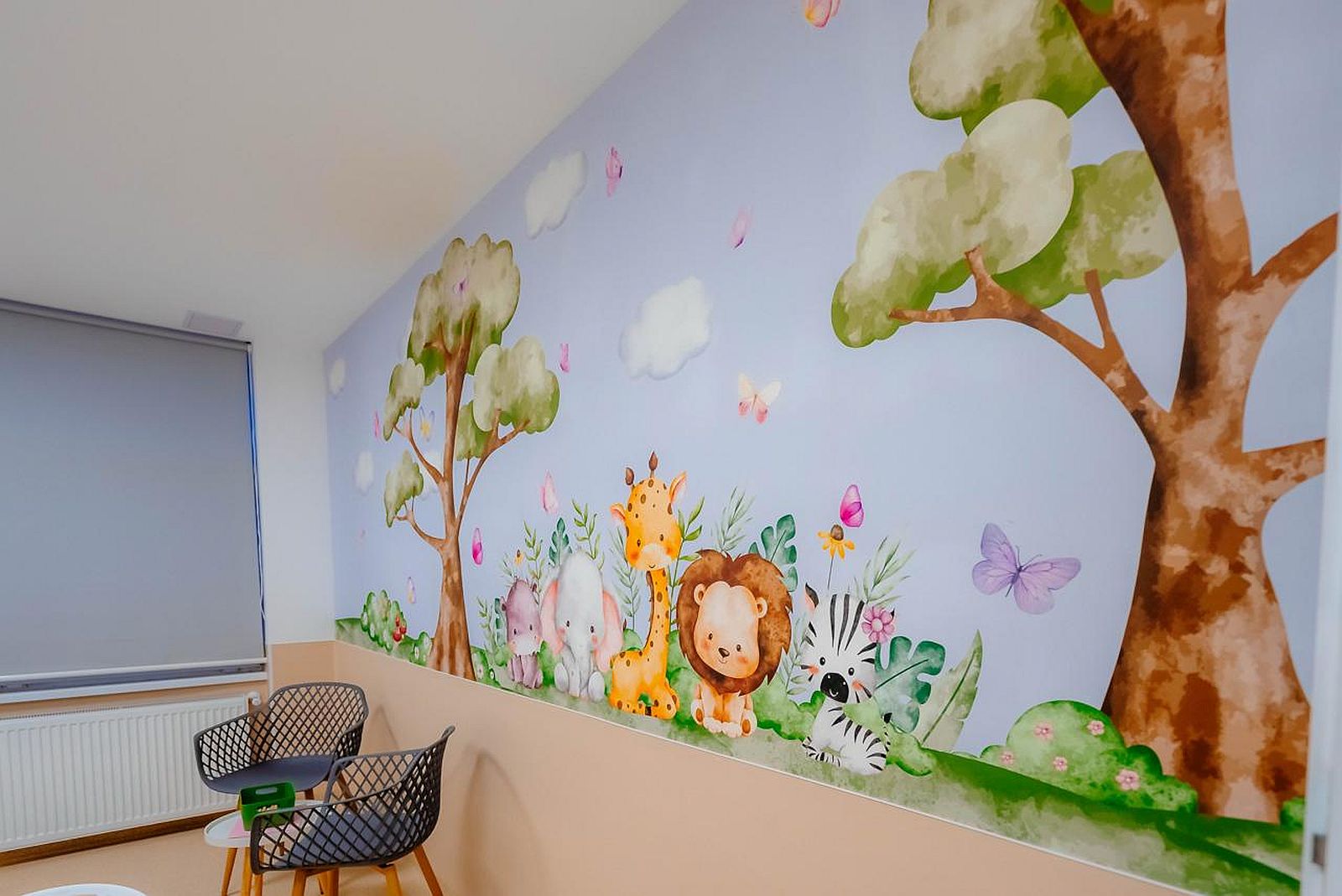 Centrul_de_Sanatate_Mintala (11).jpg