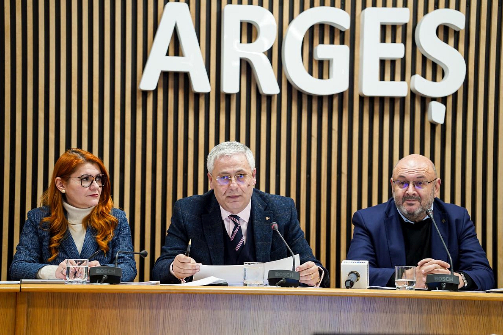 Conferinta_presa_CJ_ARGES_ADR_SUD_MUNTENIA_2.jpg
