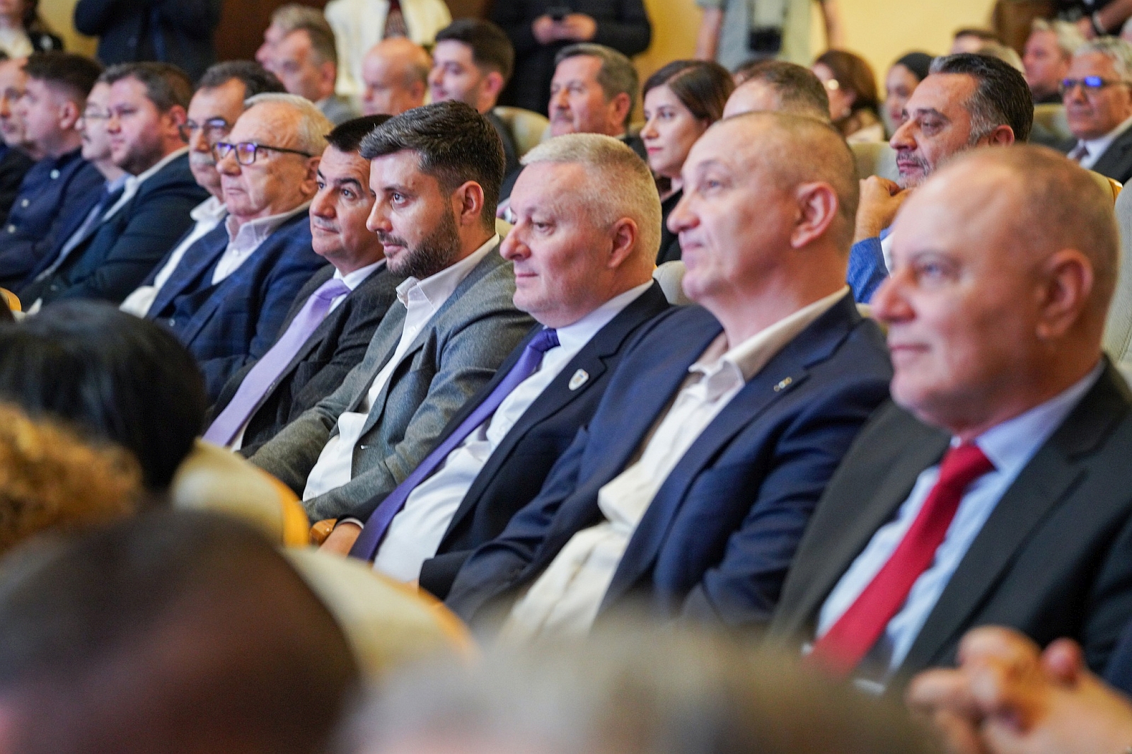 Simfonia_Lalelelor (4).jpg