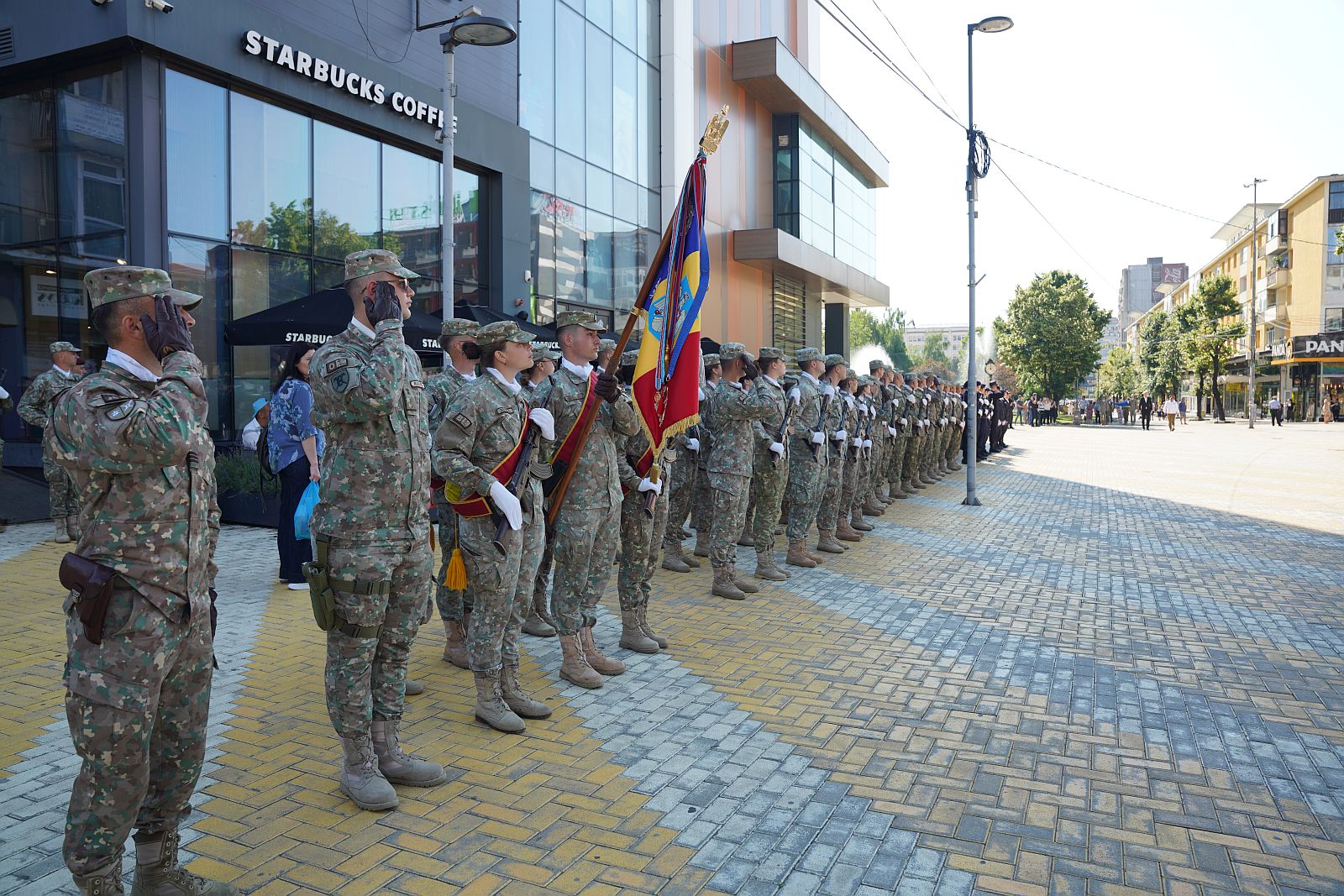 Ziua_Drapelului_2026_2.jpg