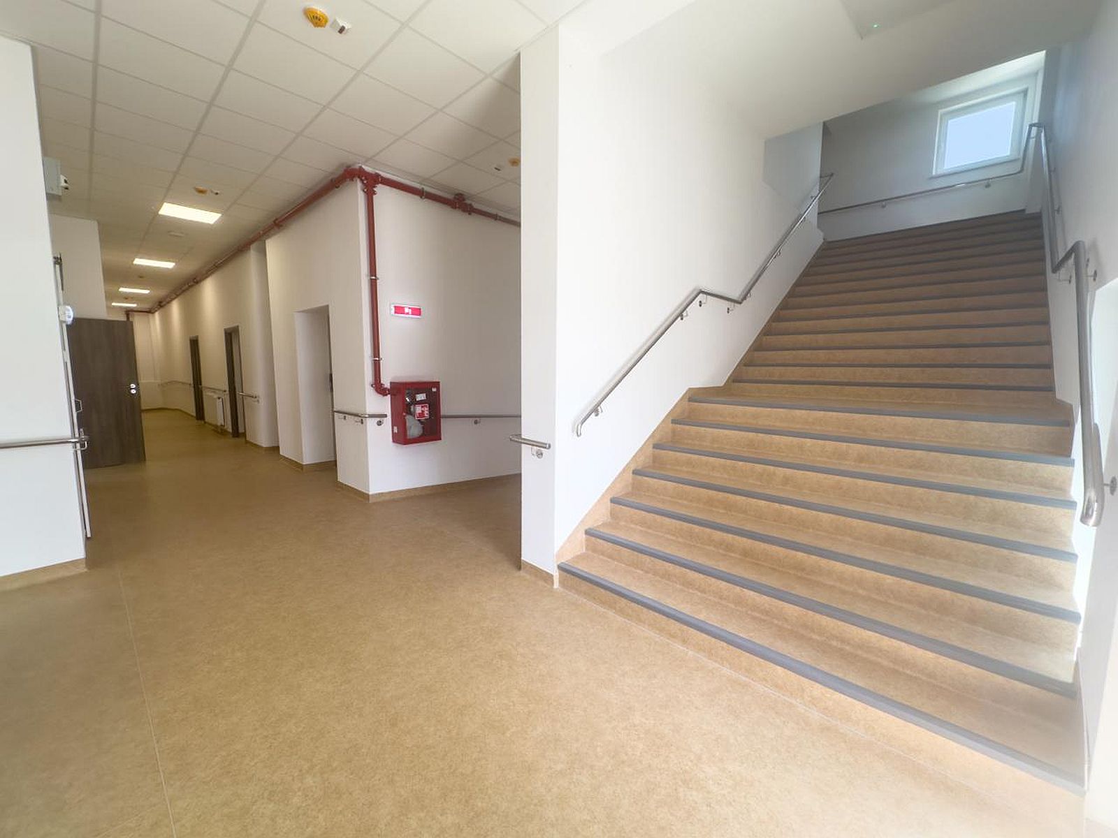 UAMS_DEDULESTI_19.jpg