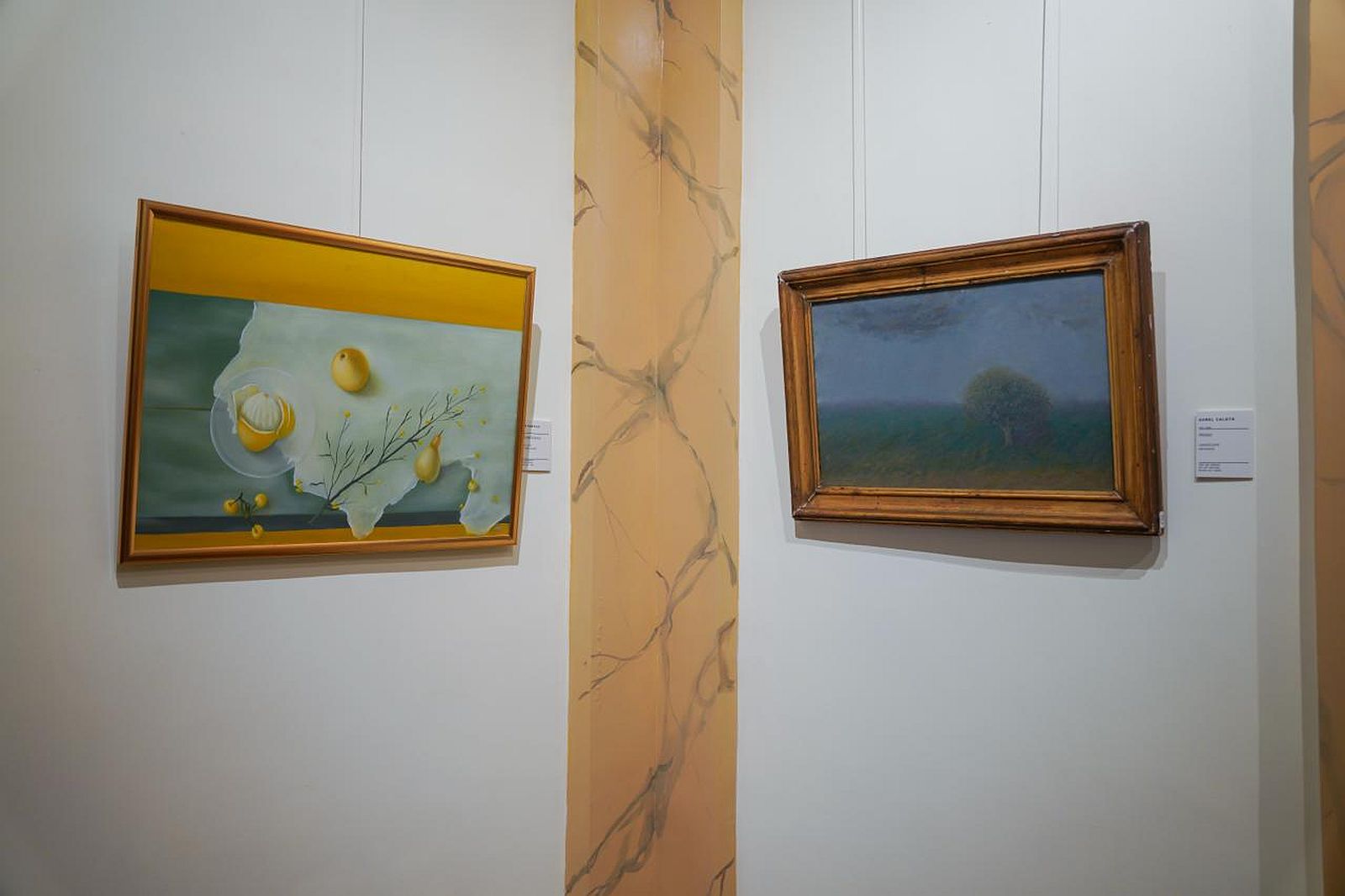 Galeria de Arta Pitesti 18.jpg