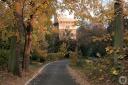 IMG_1139.jpg - 
