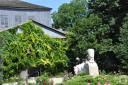 DSC_0313.JPG - 