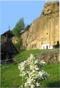 corbi 3.jpg - 
