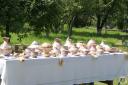 DSC07119.JPG - 