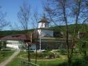cotmeana 2.jpg - 