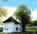 cotmeana_mnastirea.jpg - 