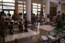 Slove Biblioteca27.JPG - 