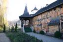 IMG_8233.JPG - 
