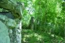 Cruce_piatra_Bajesti.jpg - 