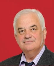 Primar - Oancea Constantin