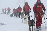 Stagiul Național de Formare și Reconfirmare al Unităților Canine de Intervenție la Avalanșă