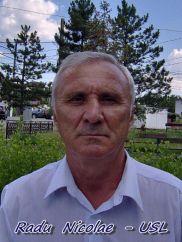 Consilier local - Radu Nicolae