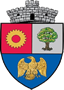 Primăria Mărăcineni